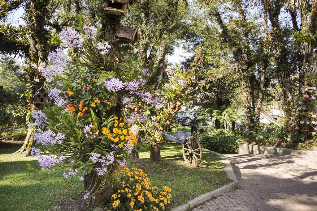 Solar Das Orquideas Hotel Canela Zewnętrze zdjęcie